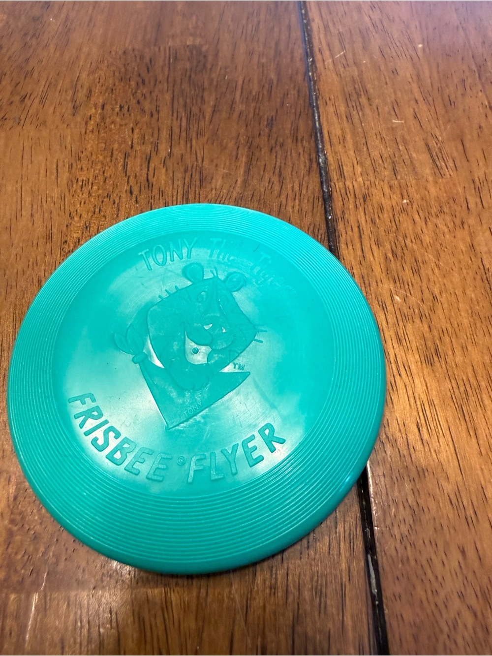 Tony Tiger Teal Frisbee Flyer - Kids Outdoor Toy